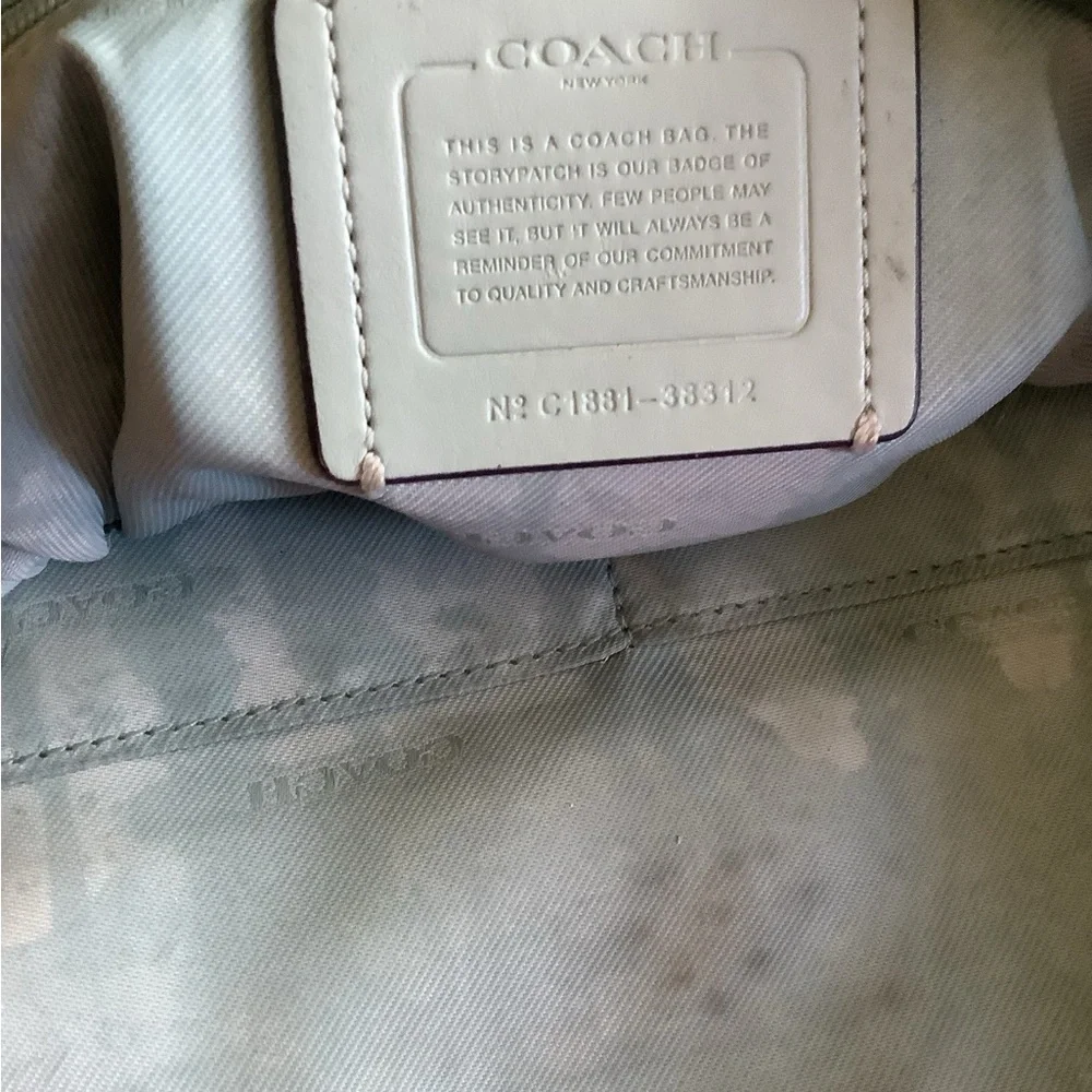 Authentic coach taylor sky blue large pebbled leather tote 16x10
